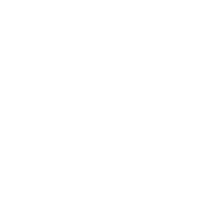 TikTok icon