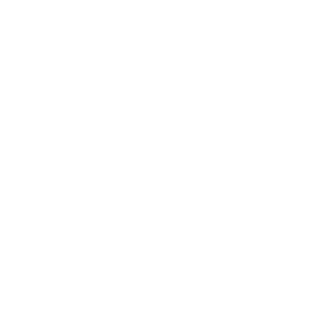 Youtube icon