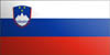 Словения - flag