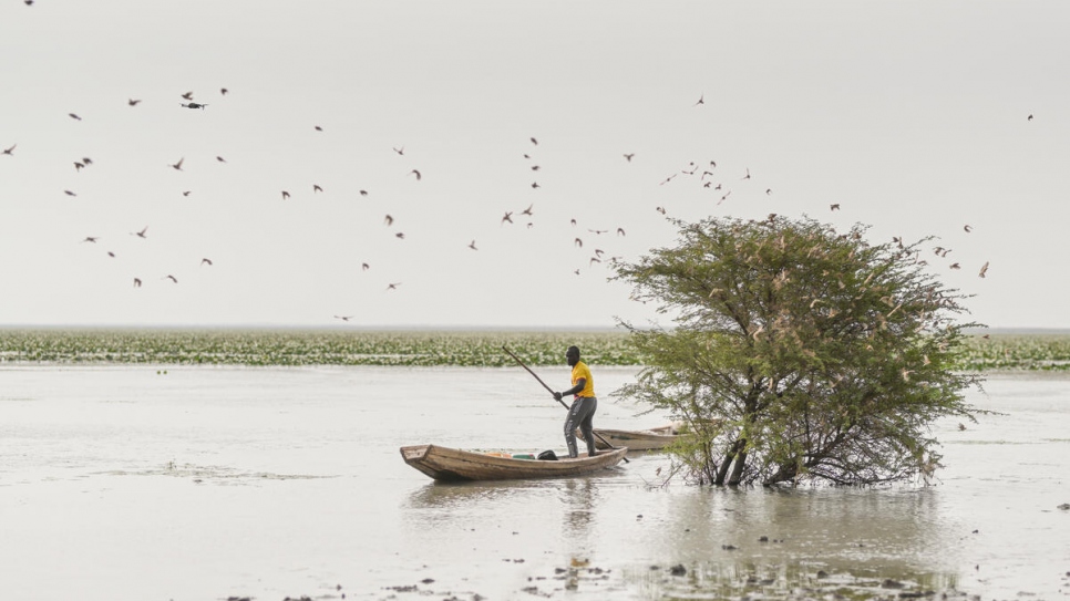 Malian fisherman Yahya Koronio Kona fishes in the waters of Lake Mahmouda in Mauritania. 