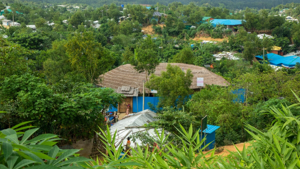 The planting of thousands of trees has transformed the camps from the bare hillsides of three years ago.