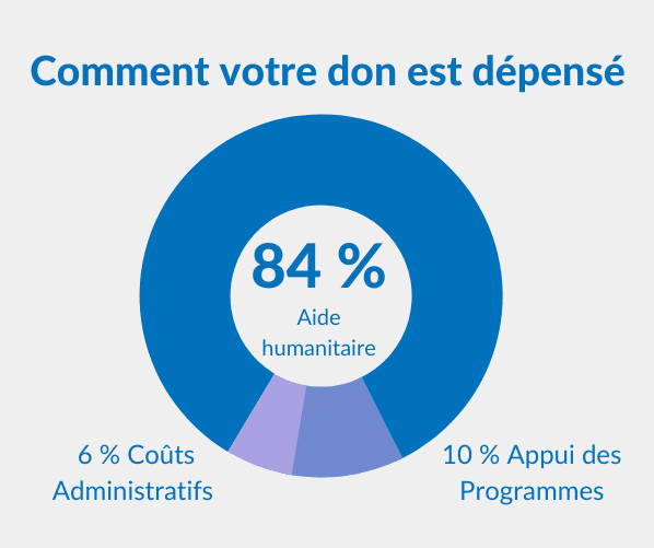 84% Aide Humanitaire 10% Appui des Programmes 6% Coûts Administratifs