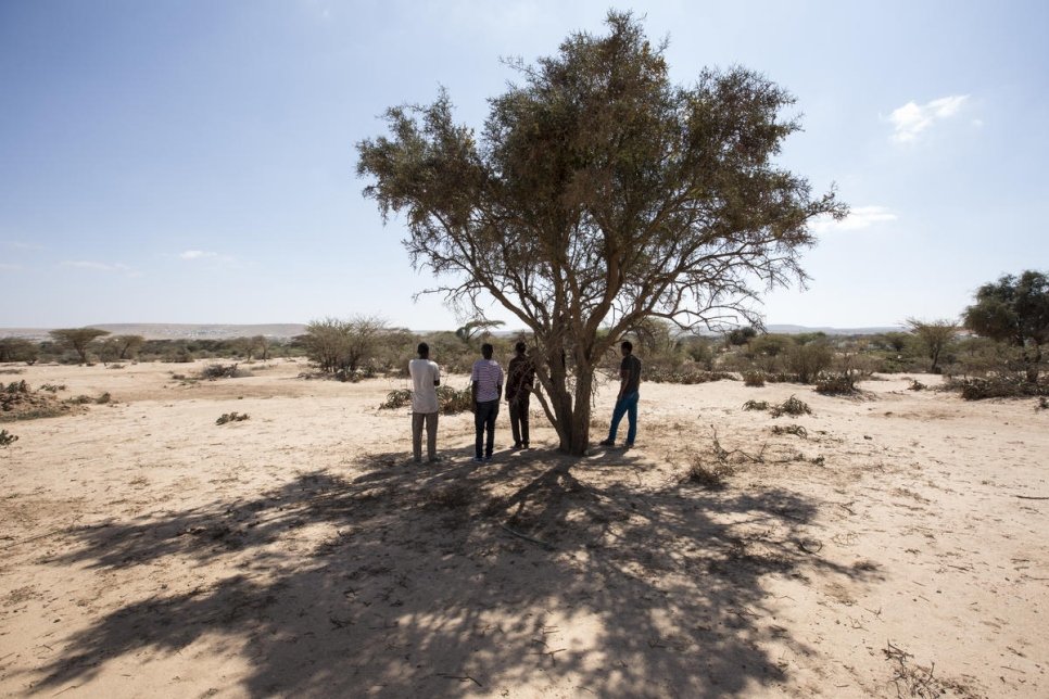 Somalia. Ethiopian asylum seekers arrive on foot outside Hargeisa