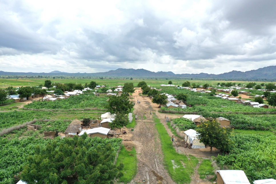 Four years since the start of the project, the land in and around Minawao camp is now covered with vegetation.