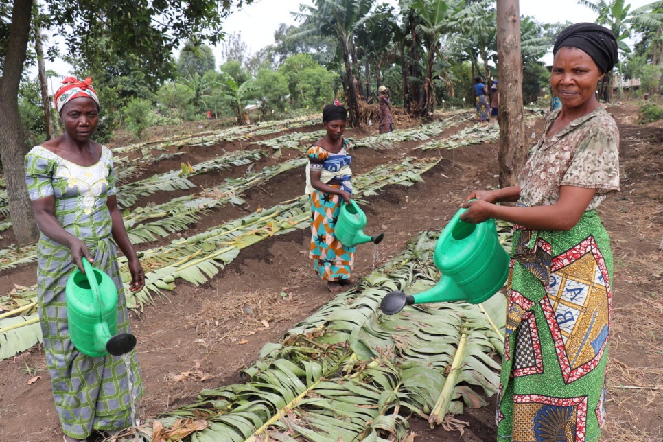 Democratic Republic of Congo. Displaced populations and host community rebuild lives through cultivating land together