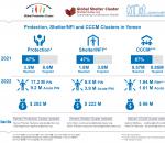 Status of the Protection, Shelter/NFI and CCCM Clusters in Yemen