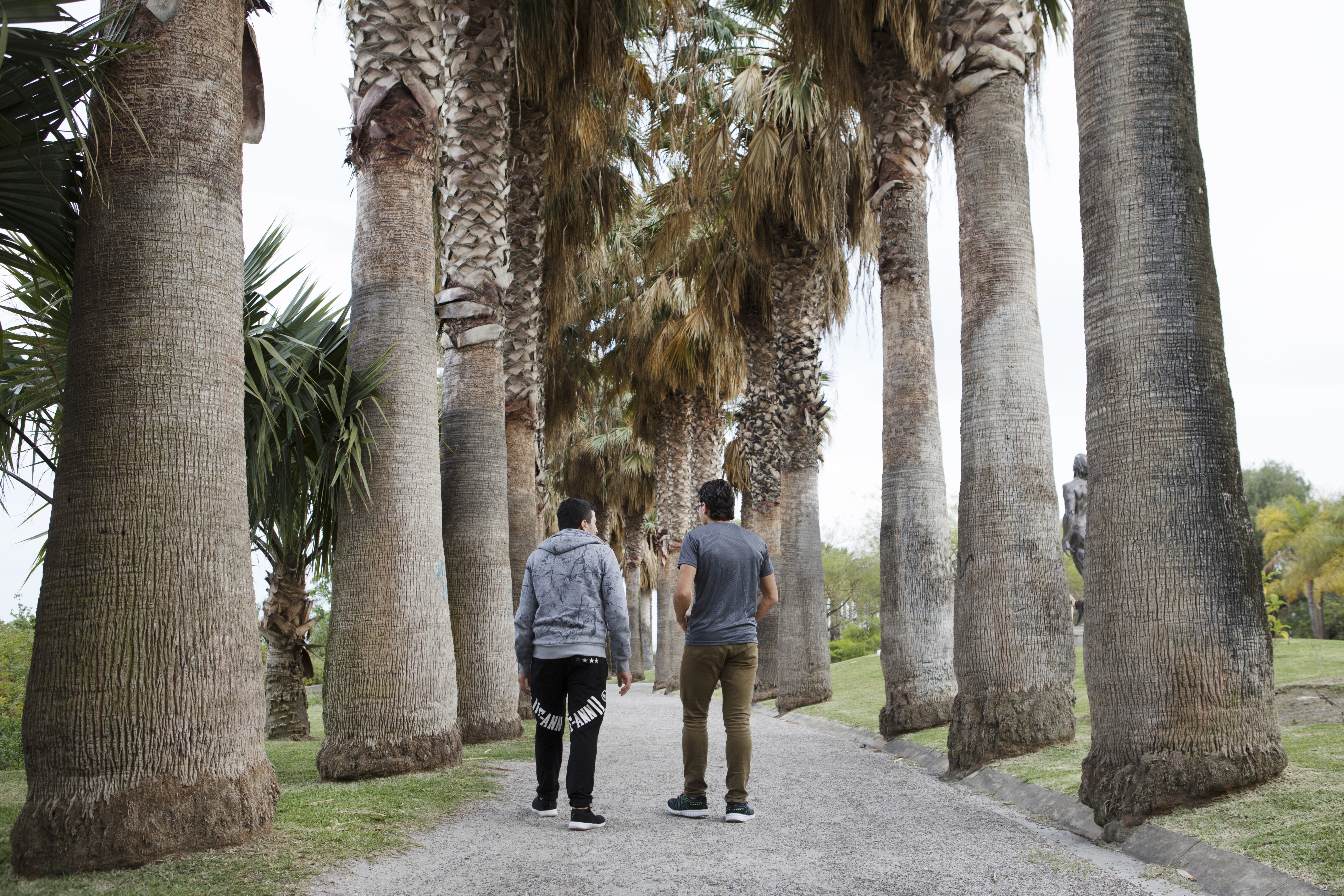 Two male youths walk away from the camera under tall trees