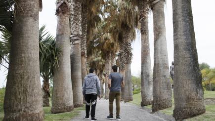 Two male youths walk away from the camera under tall trees