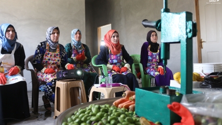 Five women are sitting together the are watching what a projector is showing. Olives can be seen on the foreground.