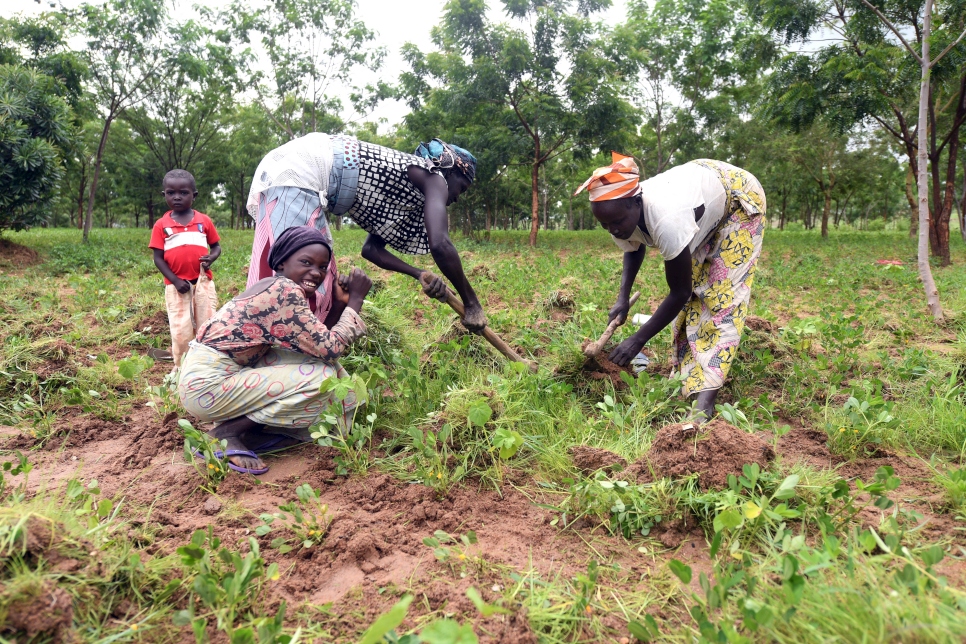 Refugee women work in the shade of some of the trees planted in and around Minawao refugee camp. 