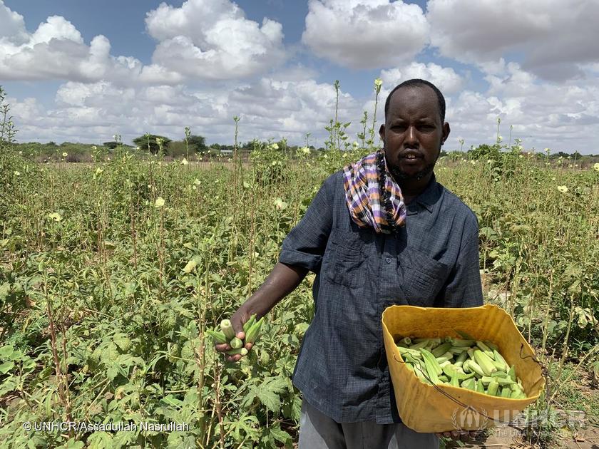 Beneficiaries of monitored livelihoods programmes see gains in employment, income and savings