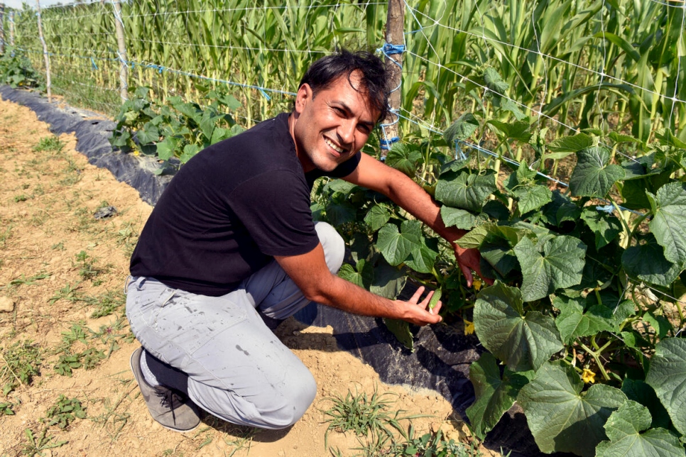 Adel kneels beside gherkins he planted at his farm in northwestern Bosnia and Herzegovina.