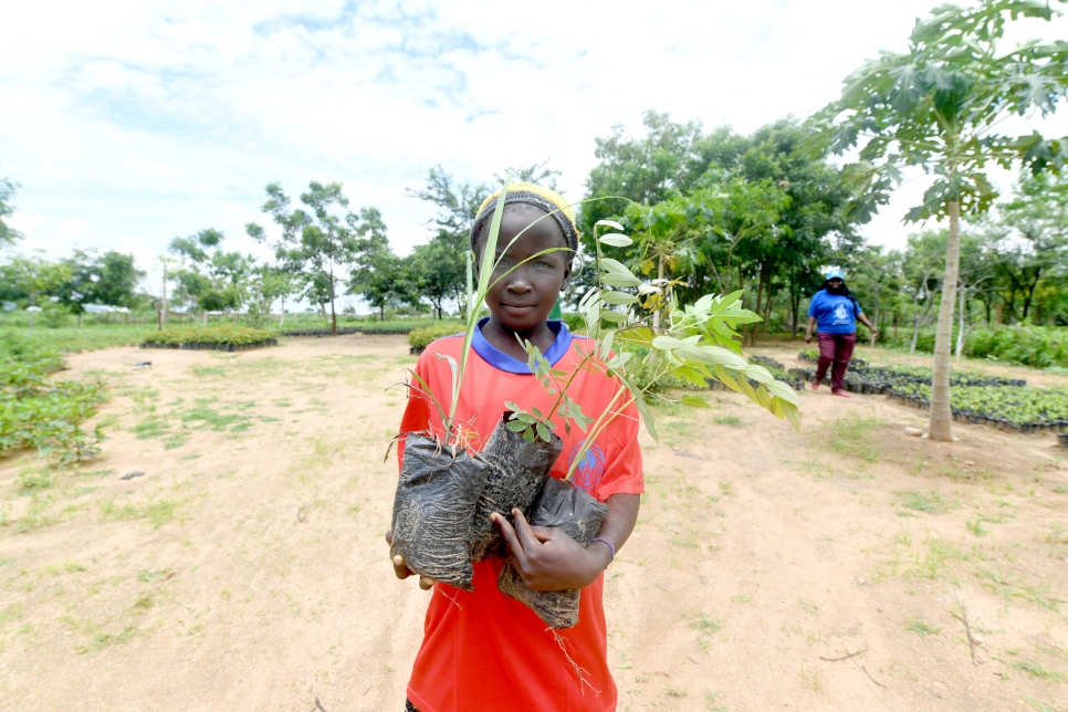 Les arbres plantés autour des maisons des réfugiés peuvent fournir des fruits, des remèdes médicinaux et de l'ombre. 