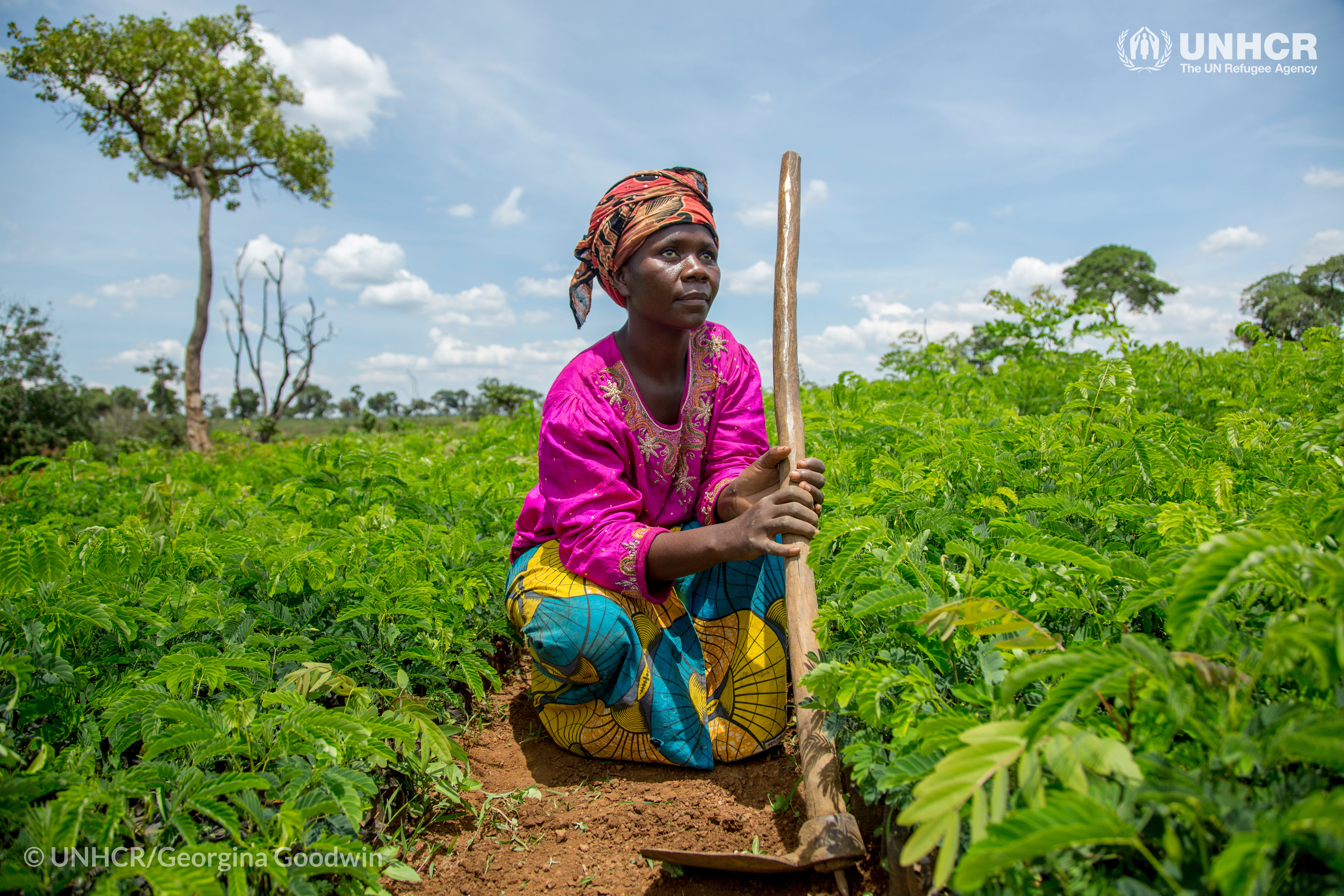 25-jarige Congolese vluchteling Kashindi Eli, werkt in de boomkwekerij in het kamp Nyarugusu, Tanzania, waar een door de UNHCR-boomplantinitiatief de aantasting van het milieu tegengaat en kwetsbare vluchtelingen beschermt tegen seksueel en gendergebaseerd geweld. ©UNHCR/Georgina Goodwin