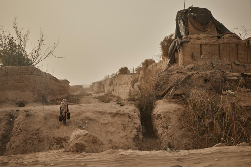 Le paysage aride du Helmand où les effets d'une grave sécheresse sont visibles partout.  