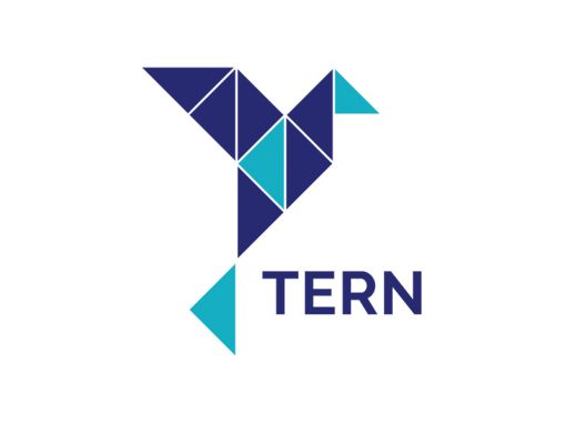 TERN