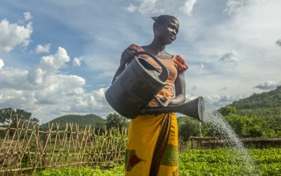 Globalt möte öppnar i Genève efter “decennium av tvångsförflyttande”