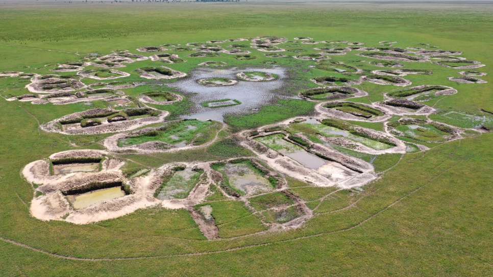 Las zanjas excavadas por la comunidad Musgum para retener el agua para la pesca y la agricultura crean trampas para el ganado de los ganaderos árabes chadianos, lo que causa conflicto entre las dos comunidades. 