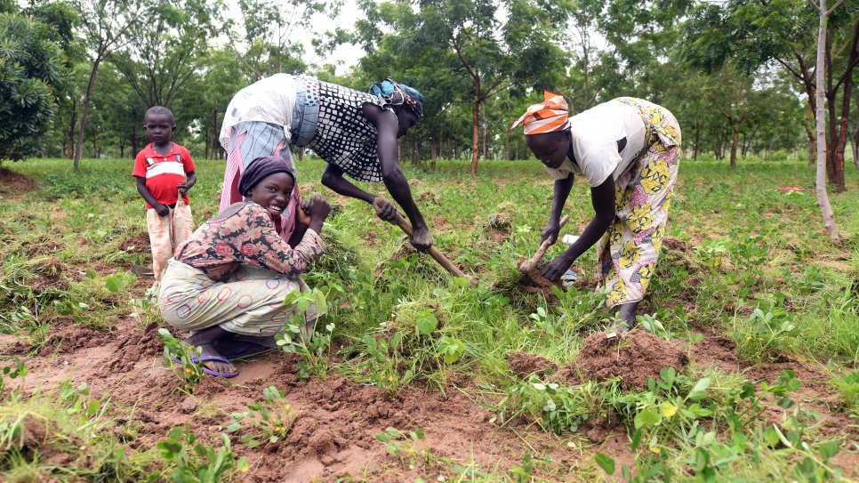 Mujeres refugiadas trabajan bajo la sombra de algunos de los árboles plantados en el campamento de refugiados de Minawao y sus alrededores.