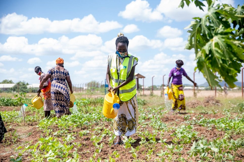 Kenya. UNHCR partner trains refugee women in gender-based violence counselling