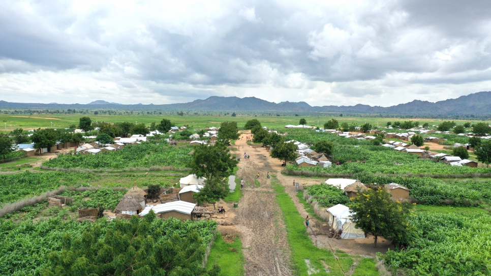 Cuatro años después del inicio del proyecto, el terreno del campamento de Minawao y sus alrededores está ahora cubierto de vegetación.