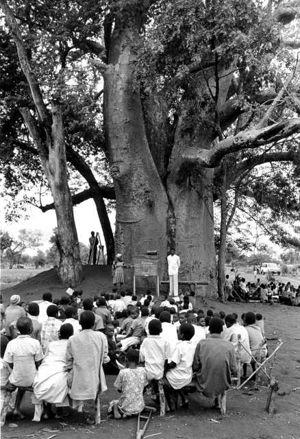 Cerca de 1,5 millones de personas de Mozambique se dirigieron a países vecinos para huir de la guerra civil en la década de 1980. Recibieron asistencia y educación. En 1992, ACNUR comenzó a ayudarles a regresar a casa en la labor de repatriación de refugiados más grande en la historia de África.