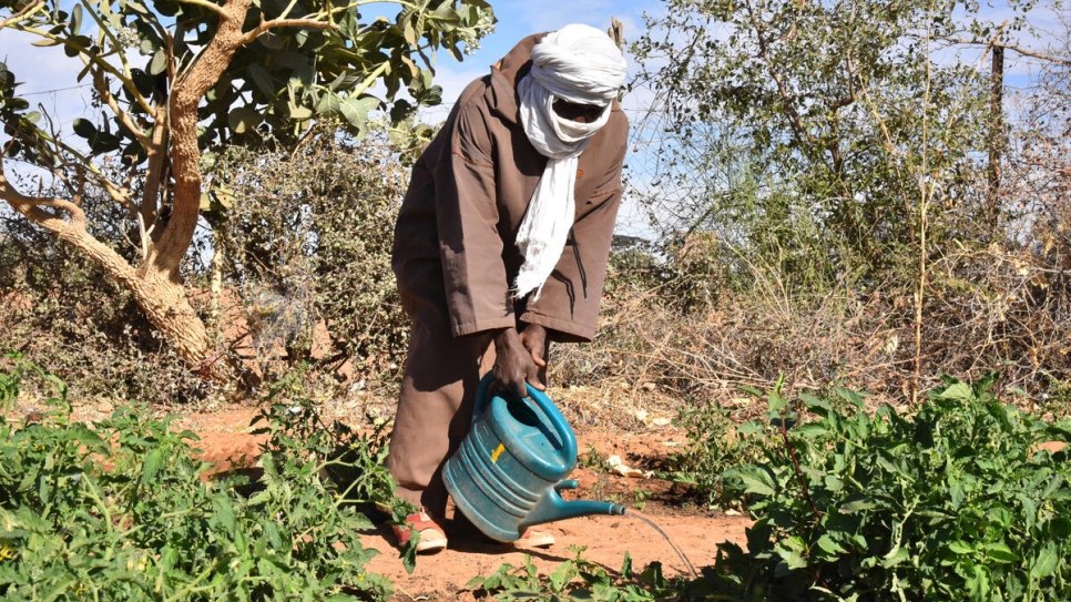 lijy AlHussein Cisse, un refugiado maliense, riega las plantas en uno de los huertos de vegetales del campamento de Mbera.