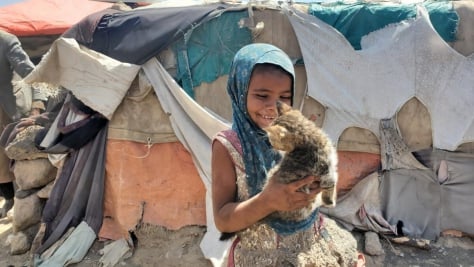 Yemen. Displaced people inside hosting sites