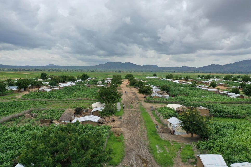 Cameroon. Reforestation project turns refugee camp green again