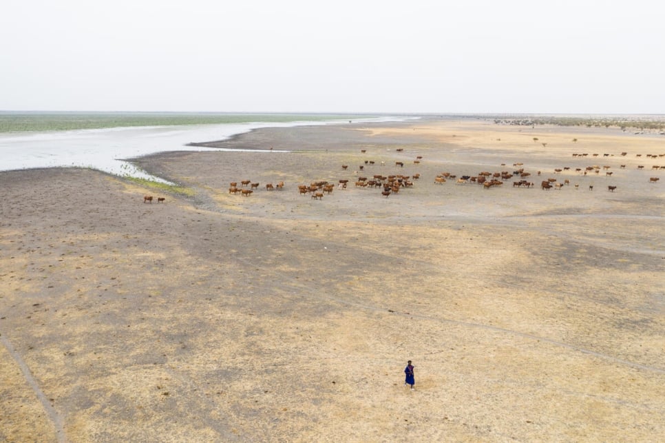 Mauritania. Lake's dwindling waters threaten farming and fishing communities