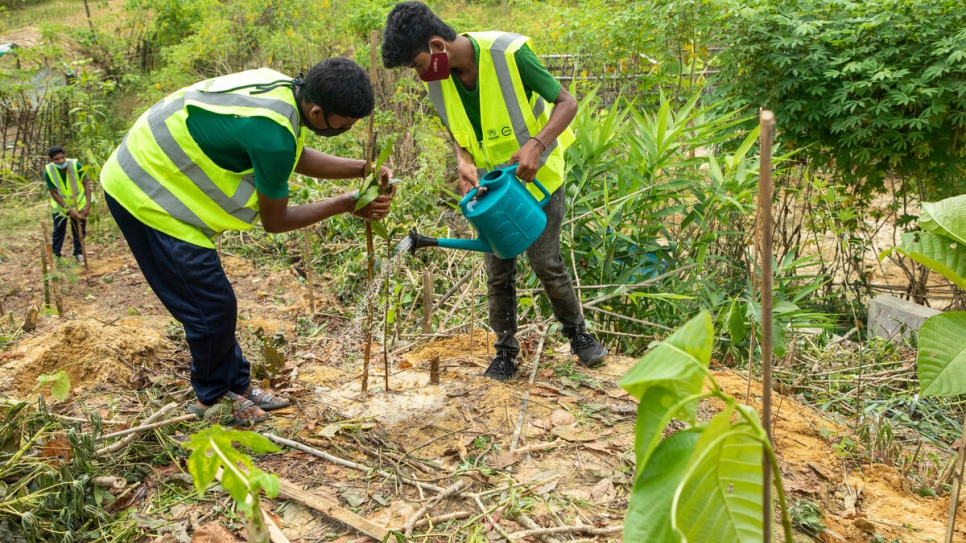 Rohingya refugees plant trees at Kutupalong camp. 