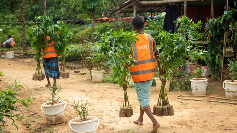 Three years since the re-greening project started, refugees have planted more than 600 hectares of fast-growing indigenous species of trees, shrubs and grasses. 