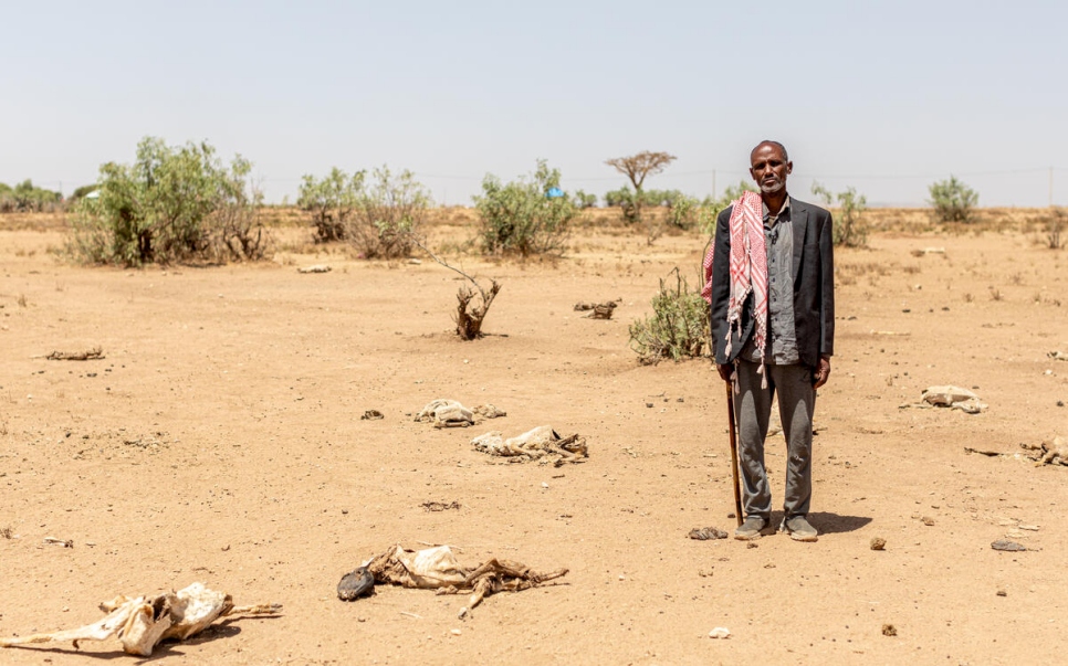 Ethiopia. Dire needs for displaced Ethiopians in the Somali region as droughts continue