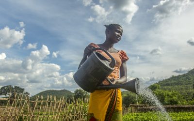 Globalt flyktningforum åpner i Genève etter et tiår der stadig flere har blitt drevet på flukt