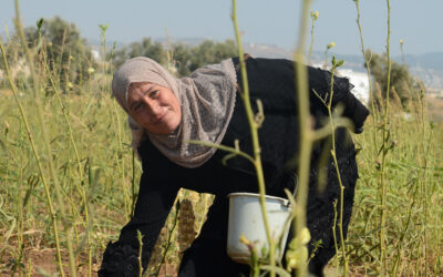 How a Syrian housewife created farming jobs in Jordan