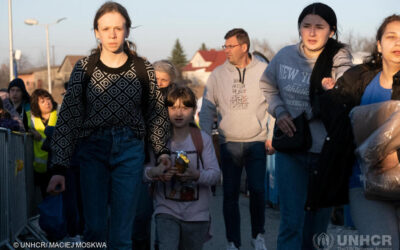 New report analyzes Sweden’s temporary protection for people fleeing Ukraine