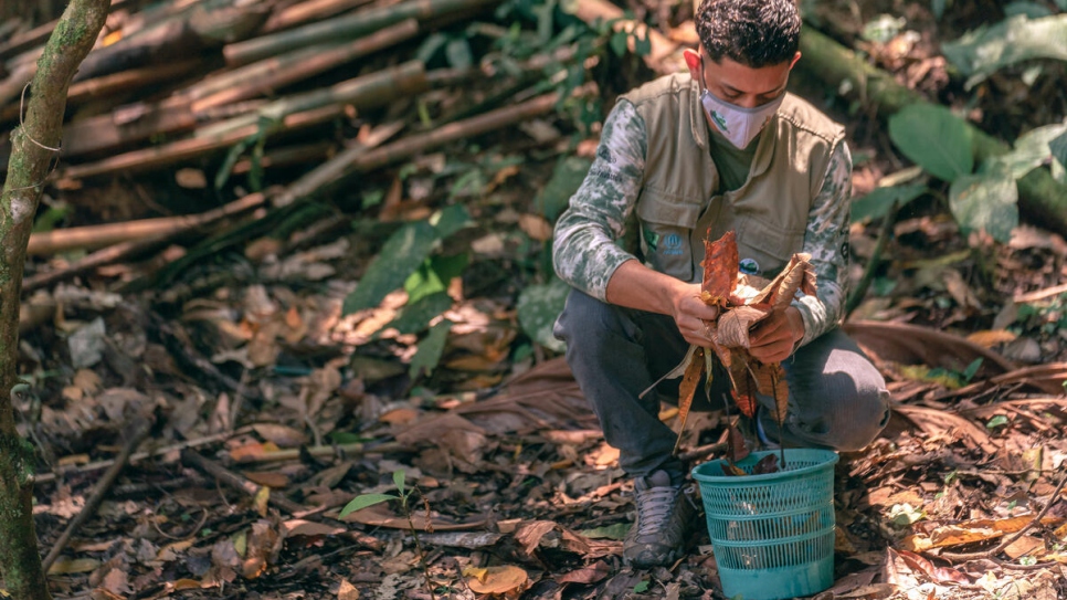 Before starting at FUNDAECO, Joshua only had sporadic work as a day labourer. He is among more than 1.3 million people who have been forced to flee Central America due to violence and persecution. 