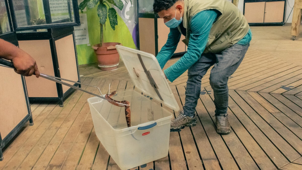 Handling snakes is one of the highlights of Joshua's job at the preserve.