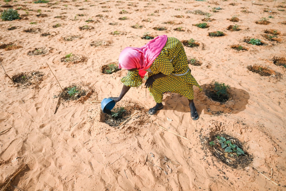 Niger. Refugees fighting climage change in Ouallam