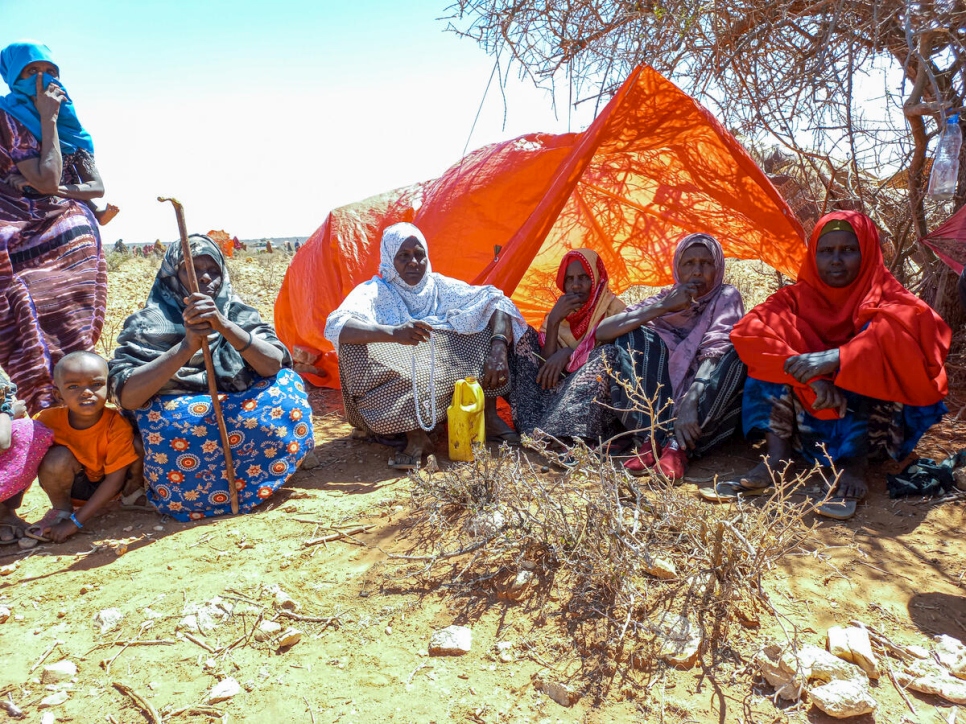 Ethiopia. Tens of thousands arrive in Ethiopia, fleeing recent clashes in Somalia