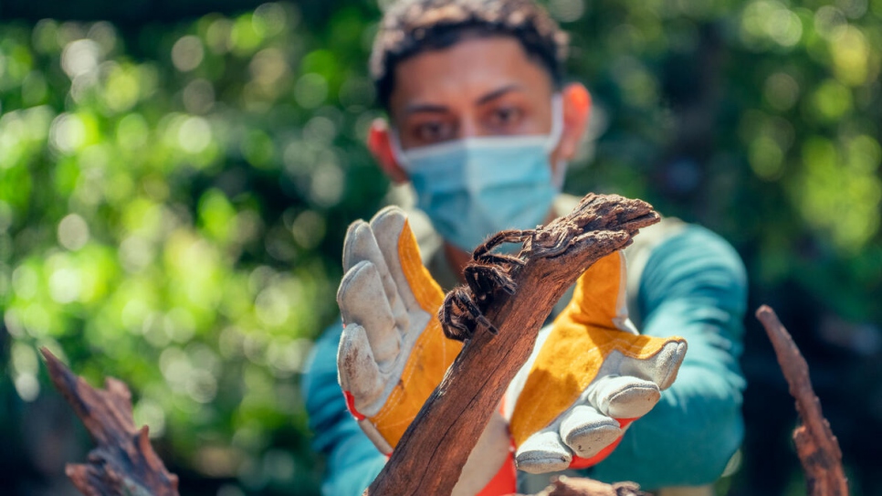 Joshua has nursed dozens of injured animals back to health and released them back into the wild. 