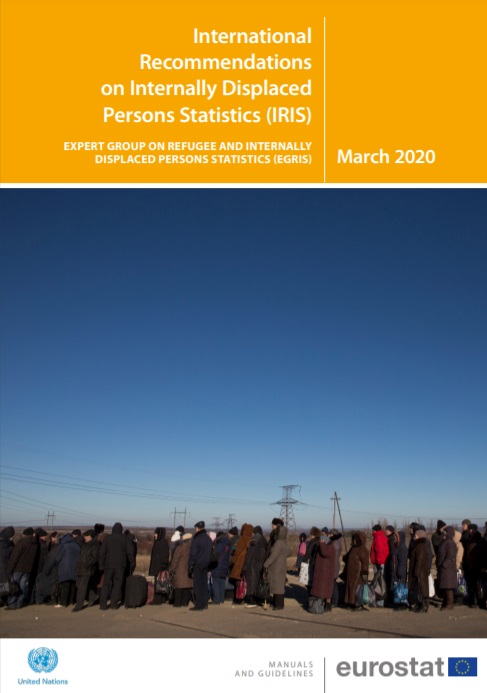 Thumbnail of a publication cover, text reads International Recommendations on Internally Displaced Persons Statistics (IRIS)
