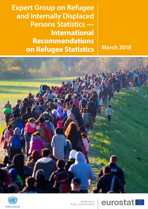 Thumbnail of a publication cover, text reads International Recommendations on Refugee Statistics (IRRS)