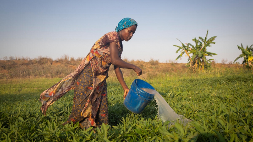 Dorotea waters her potato field near Maratane refugee settlement. Cyclone Gombe destroyed her small plot but she replanted and has potatoes again. 