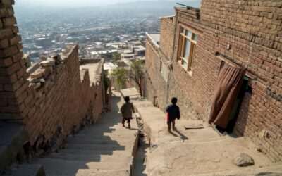 آژانس پناهندگان سازمان ملل متحد درخواست حمایت از پناهندگان افغانستانی و میزبان‌های آنها در کشورهای همسایه را دارد