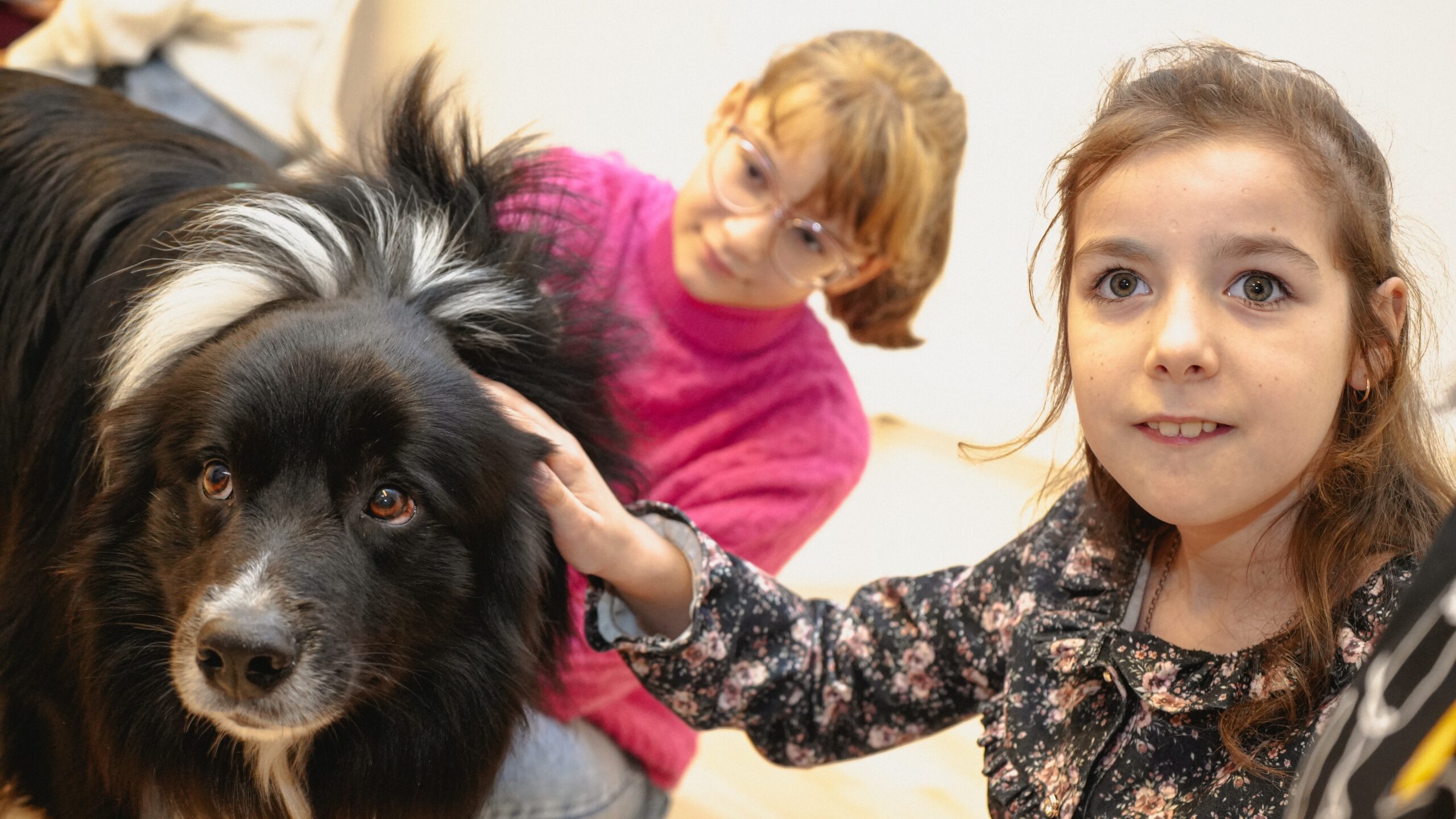 Oekraïense vluchtelingen Maria (rechts) en Yuliya wonen een hondentherapiesessie bij in het “Boedapest Helpt!” gemeenschapscentrum te Boedapest, Hongarije. © UNHCR/Zsolt Balla