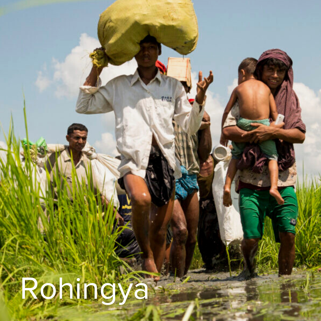 Rohingya