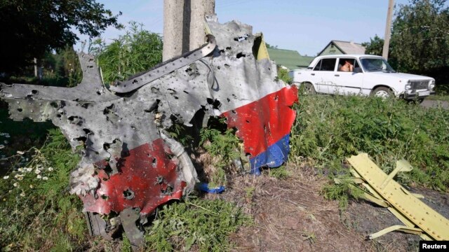 A piece of the wreckage is seen at a crash site of the Malaysia Airlines Flight 17 in the village of Petropavlivka in Donetsk region on July 24.