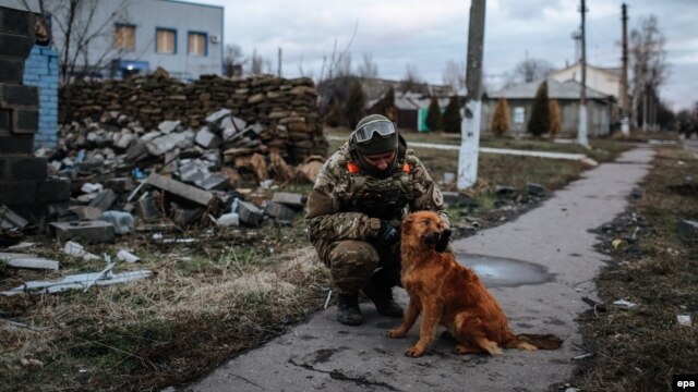 A Ukrainian soldier plays with a dog in the eastern city of Debaltseve.