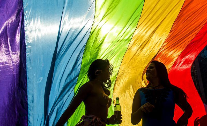 Revellers take part in the 19th Gay Pride parade along Paulista Avenue in Sao Paulo, Brazil, June 7, 2015.